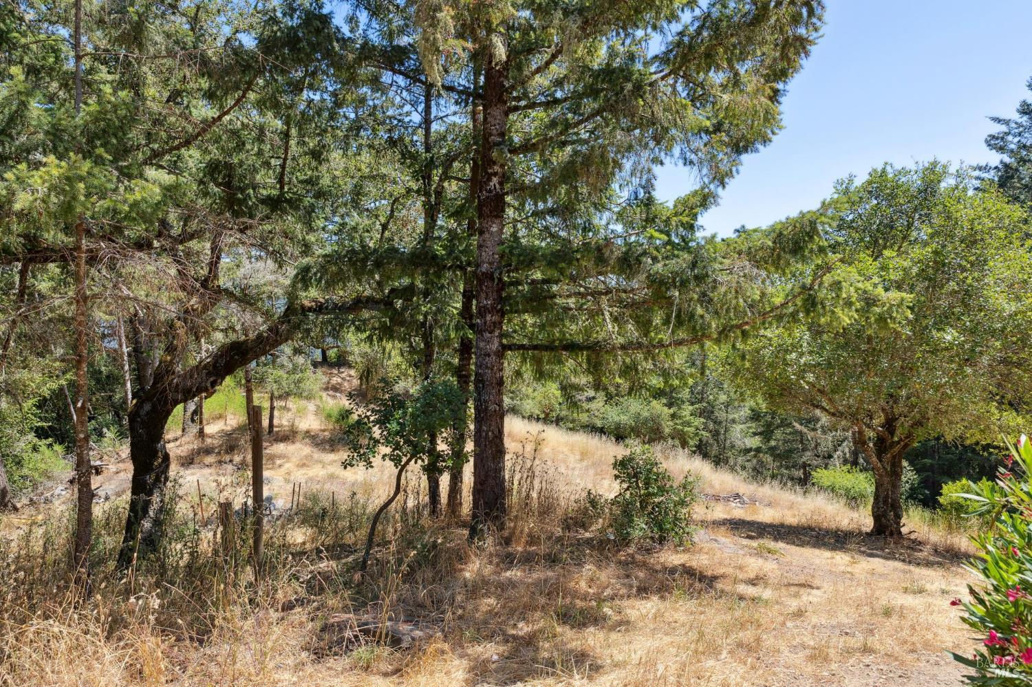 21540 Siri Road Guerneville, CA 95446 - Photo 58 of 99