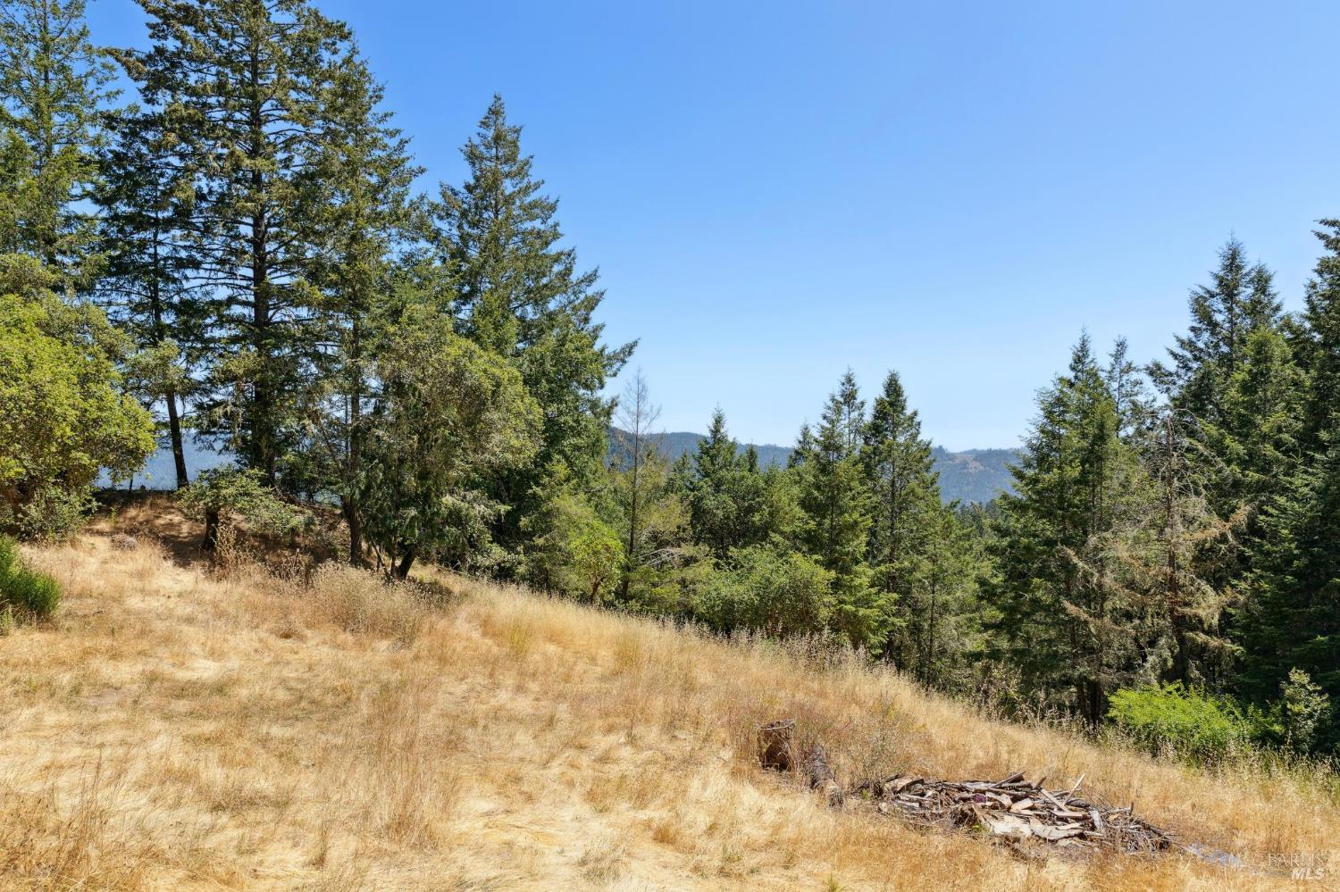 21540 Siri Road Guerneville, CA 95446 - Photo 59 of 99