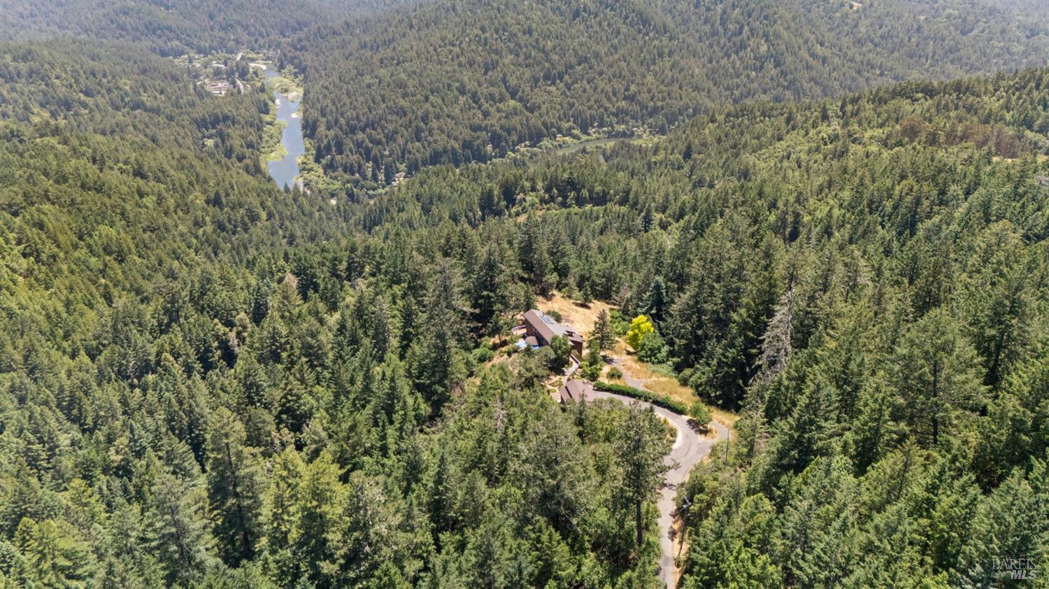 21540 Siri Road Guerneville, CA 95446 - Photo 76 of 99 a view of a forest with a tree