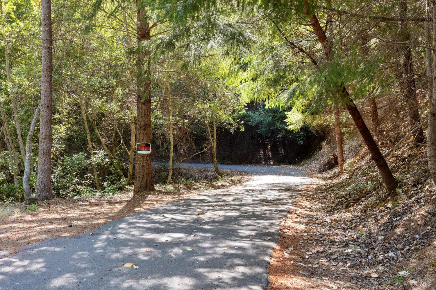 21540 Siri Road Guerneville, CA 95446 - Photo 95 of 99 a backyard of a house with lots of trees