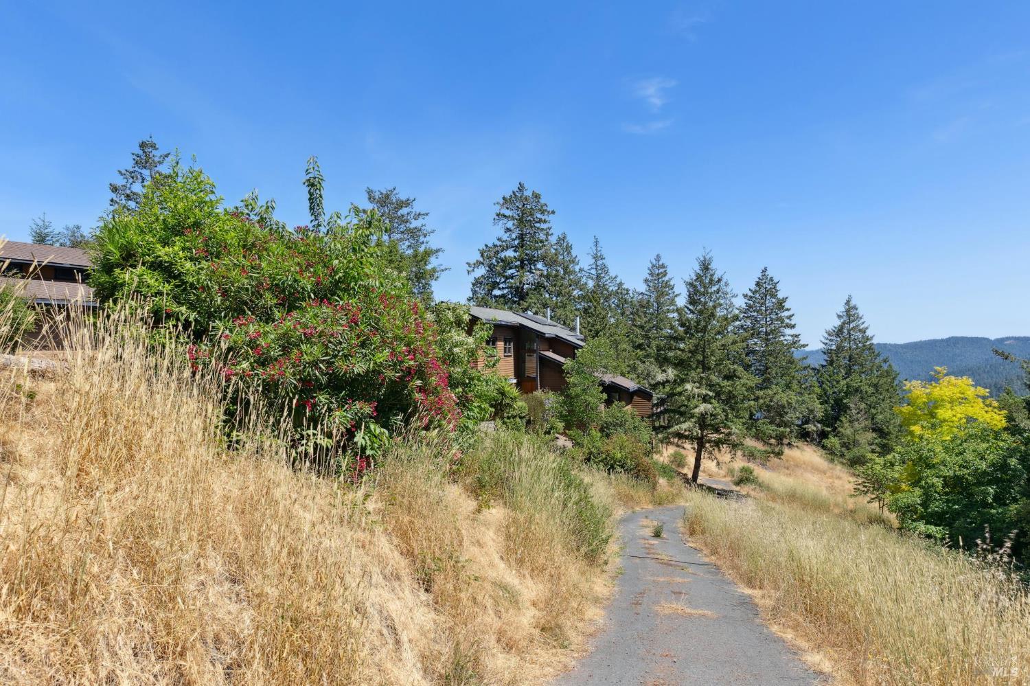 21540 Siri Road Guerneville, CA 95446 - Photo 99 of 99