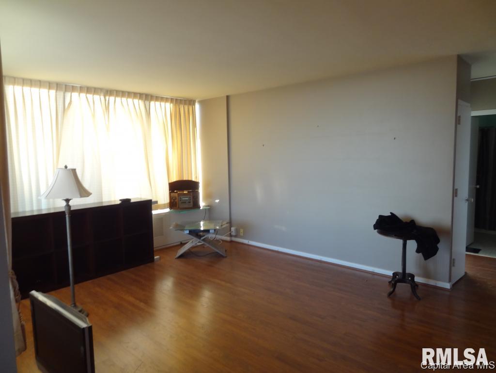 718 South 7th 1108 Springfield, IL 62703 - Photo 4 of 5