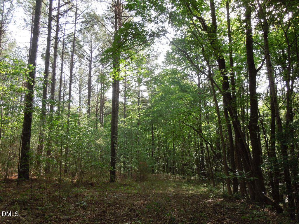0 Glebe Road Henderson, NC 27537 - Photo 21 of 34 DSCN0494