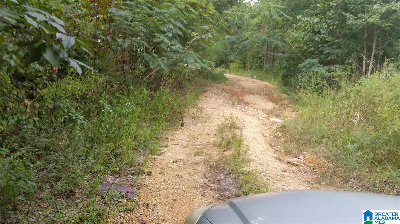 3475 Camp Winnataska Road, Unit 1 Pell City, AL 35128 - Photo 4 of 7