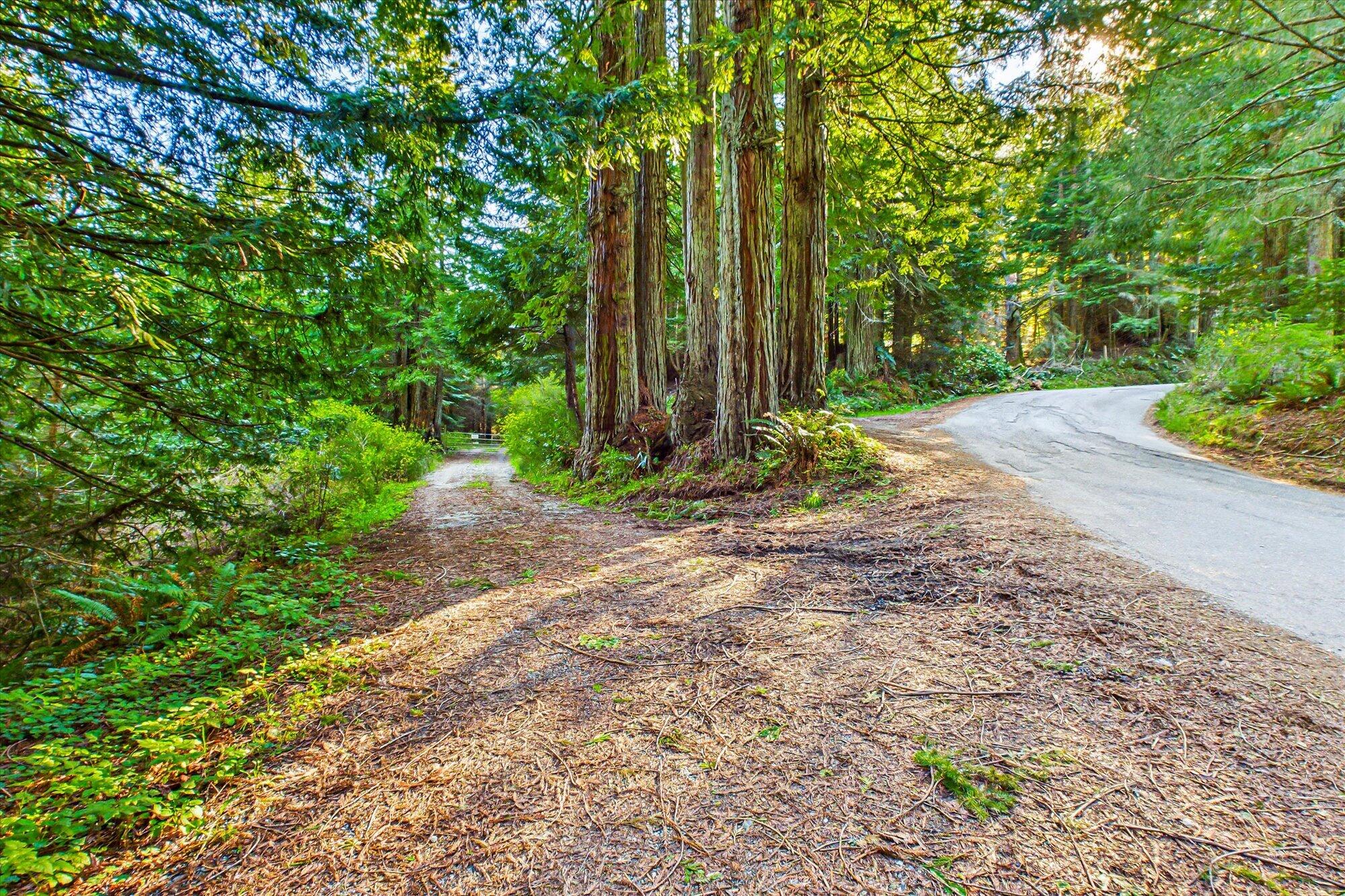 155 Old Ranch Road Rio Dell, CA 95562 - Photo 2 of 22