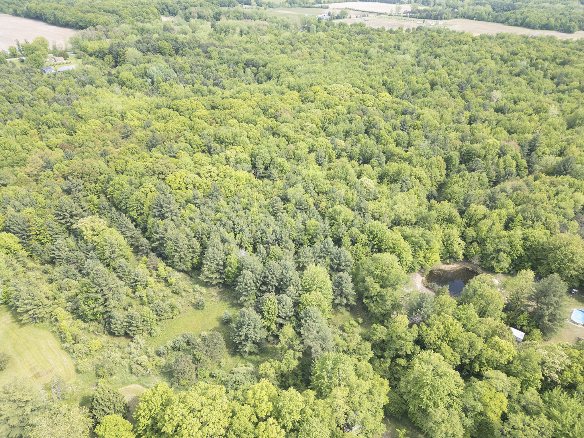 11737 Ellis Road Ravenna, MI 49451 - Photo 11 of 25 dji_0223_413
