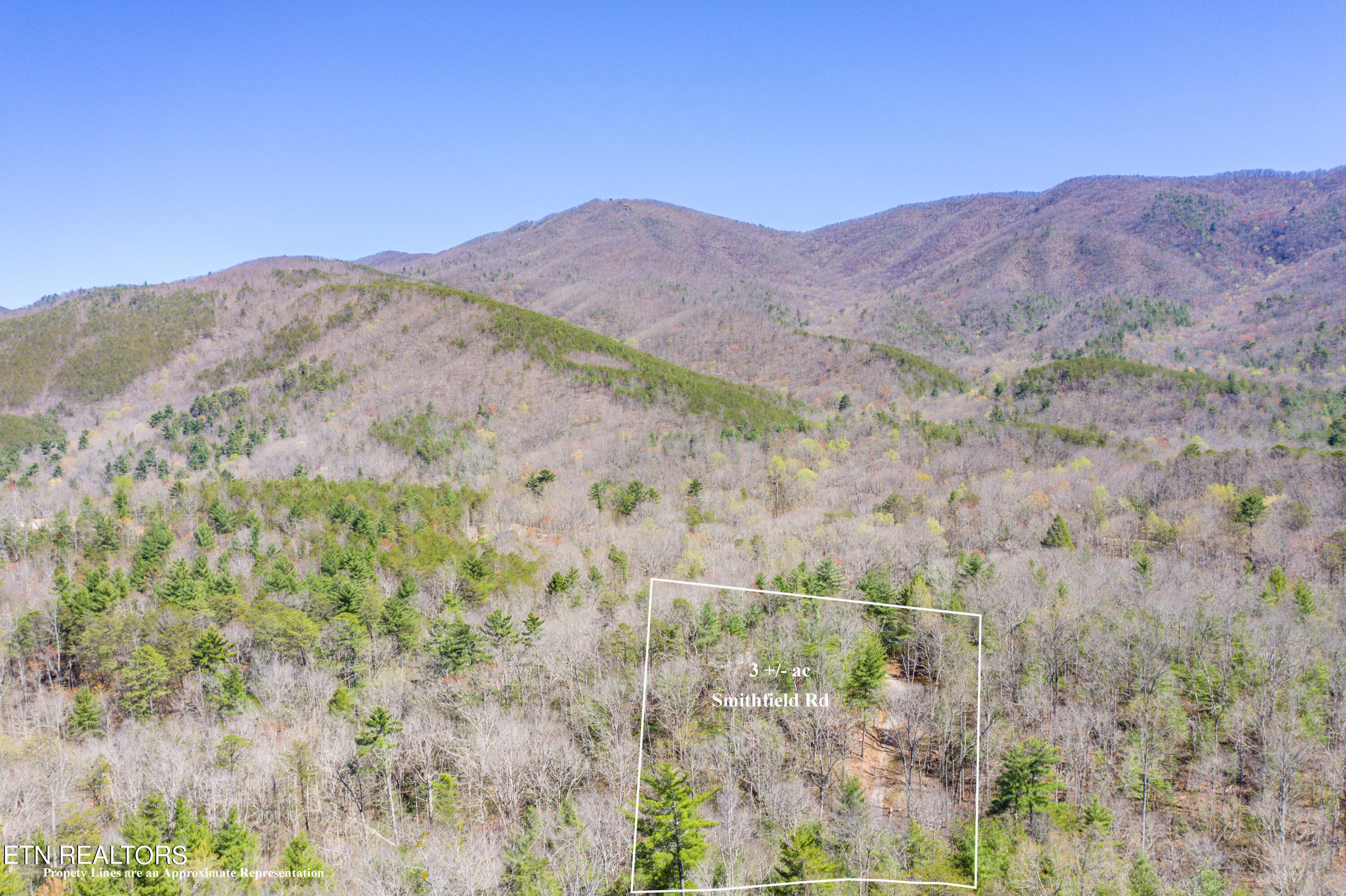 2.42 Smithfield Road Tellico Plains, TN 37385 - Photo 11 of 45 4-DJI_0100-Edit