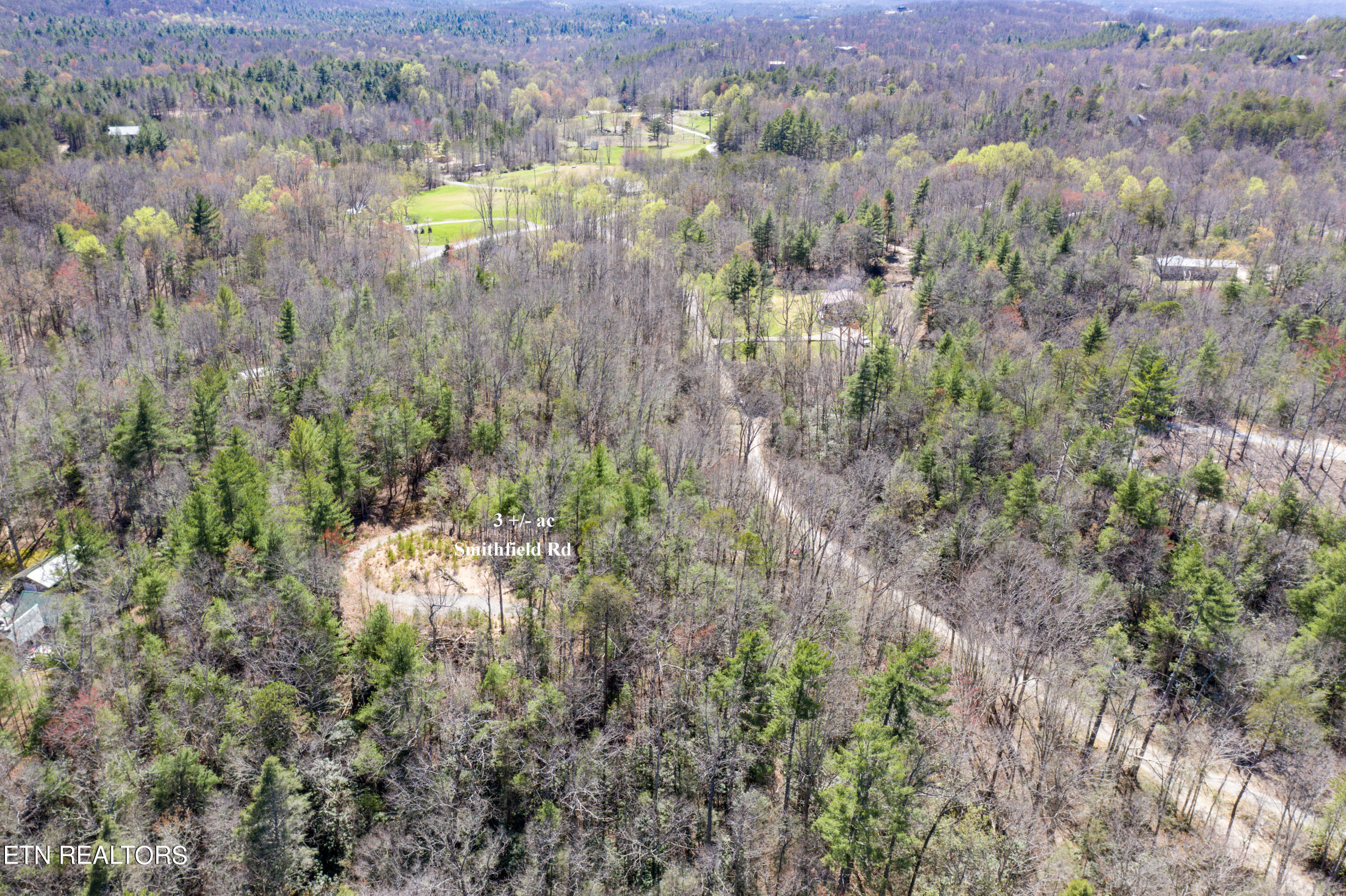 2.42 Smithfield Road Tellico Plains, TN 37385 - Photo 13 of 45 8-DJI_0104-2-Edit