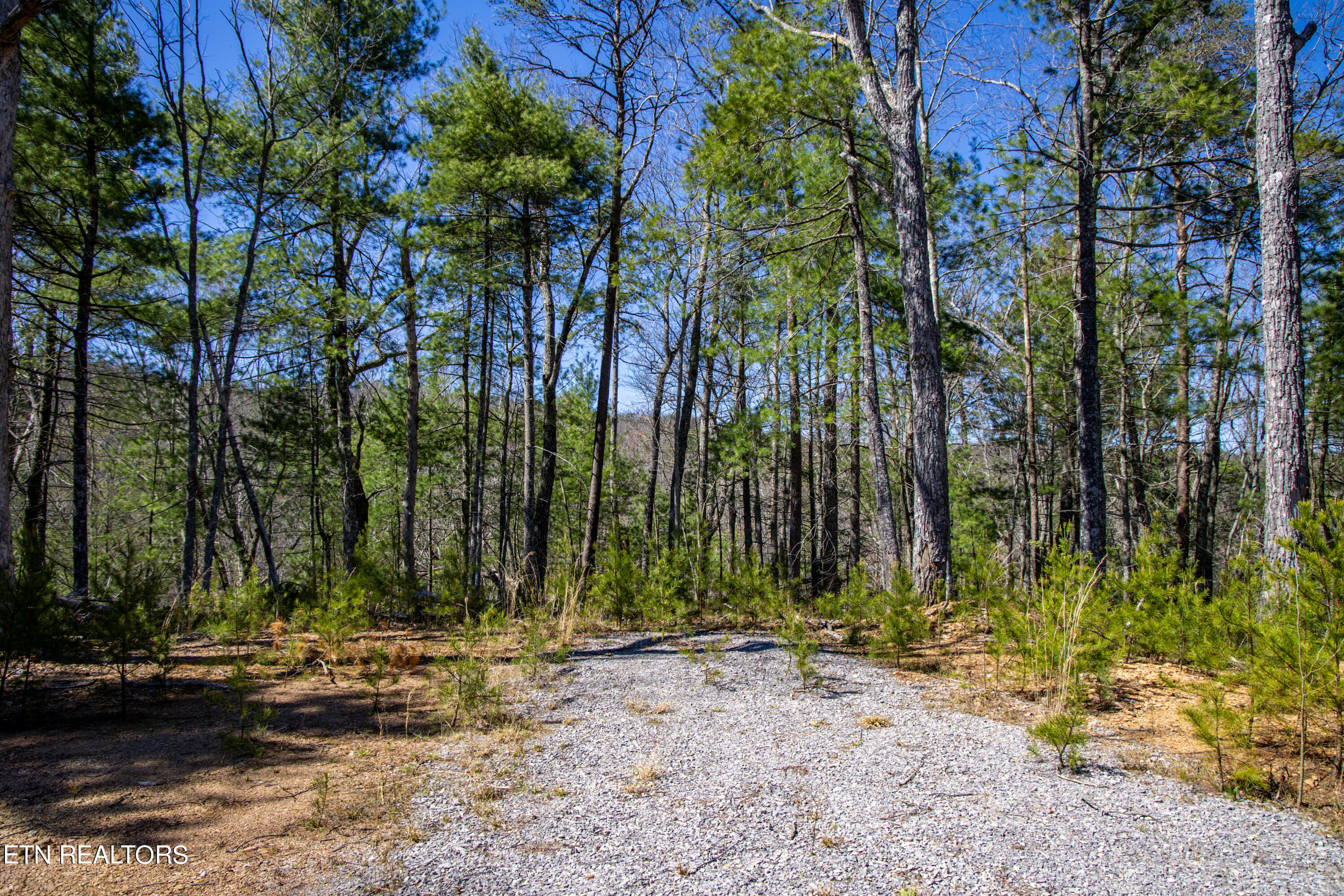 2.42 Smithfield Road Tellico Plains, TN 37385 - Photo 15 of 45 12-0B7A4905
