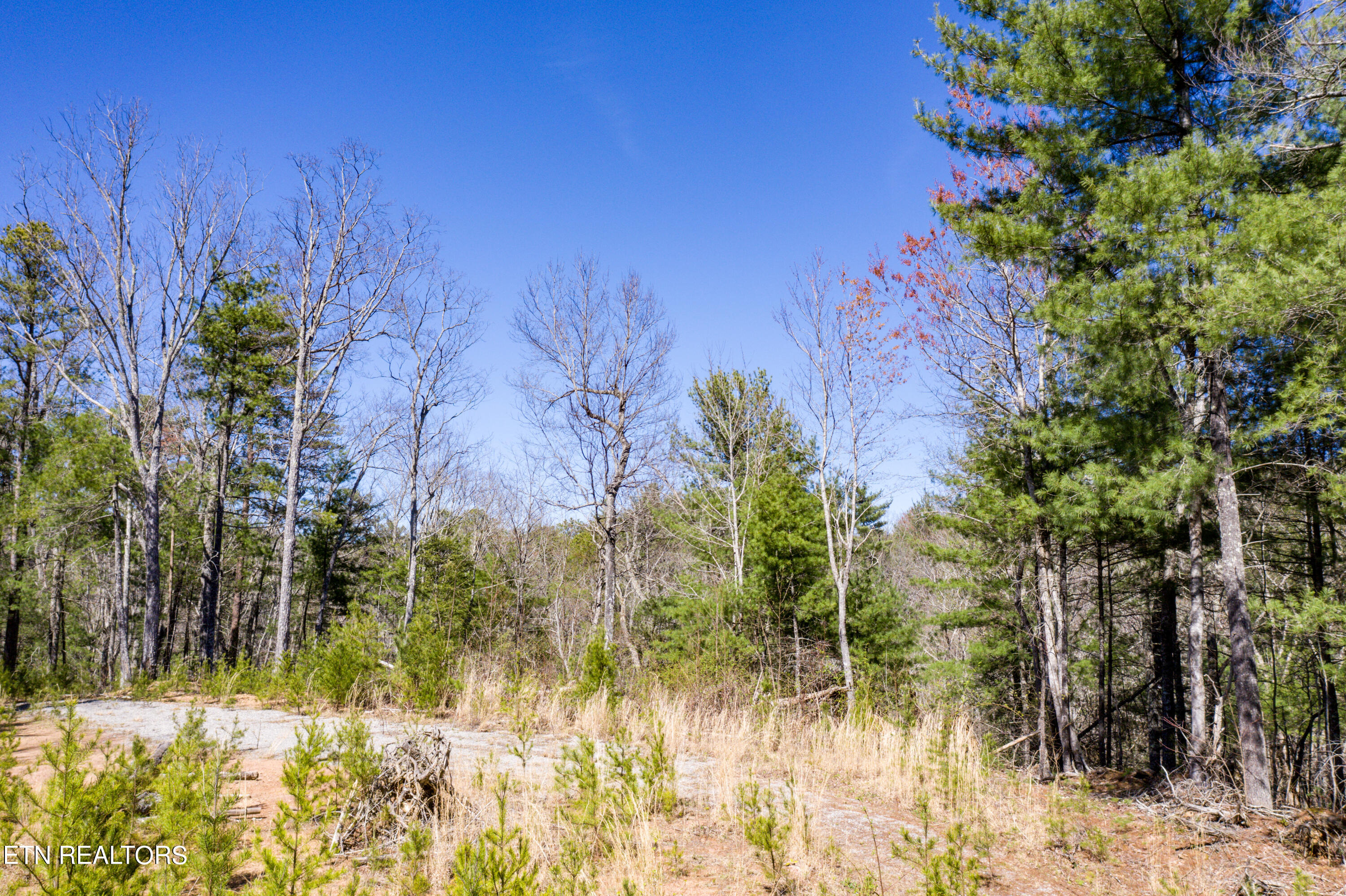 2.42 Smithfield Road Tellico Plains, TN 37385 - Photo 17 of 45 16-DJI_0114
