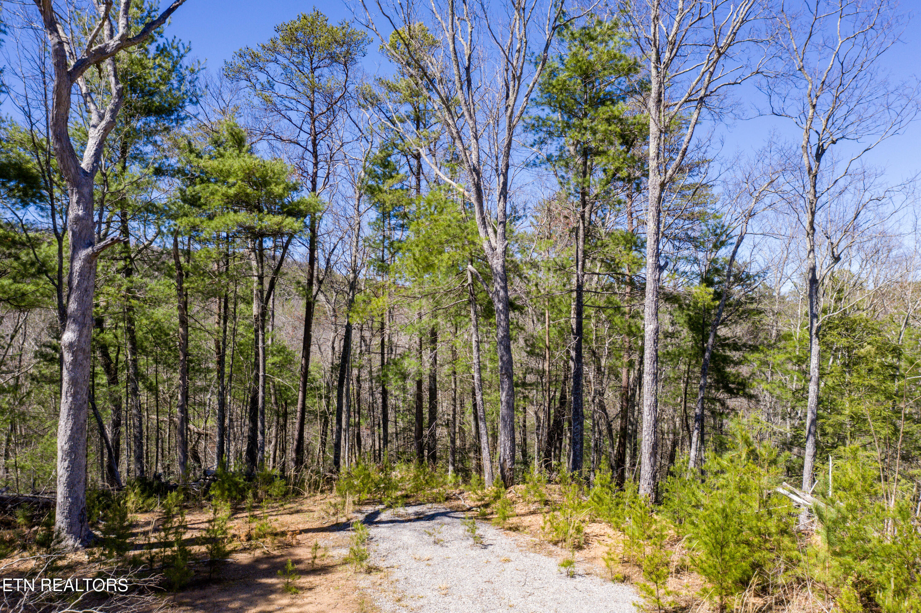 2.42 Smithfield Road Tellico Plains, TN 37385 - Photo 18 of 45 17-DJI_0115