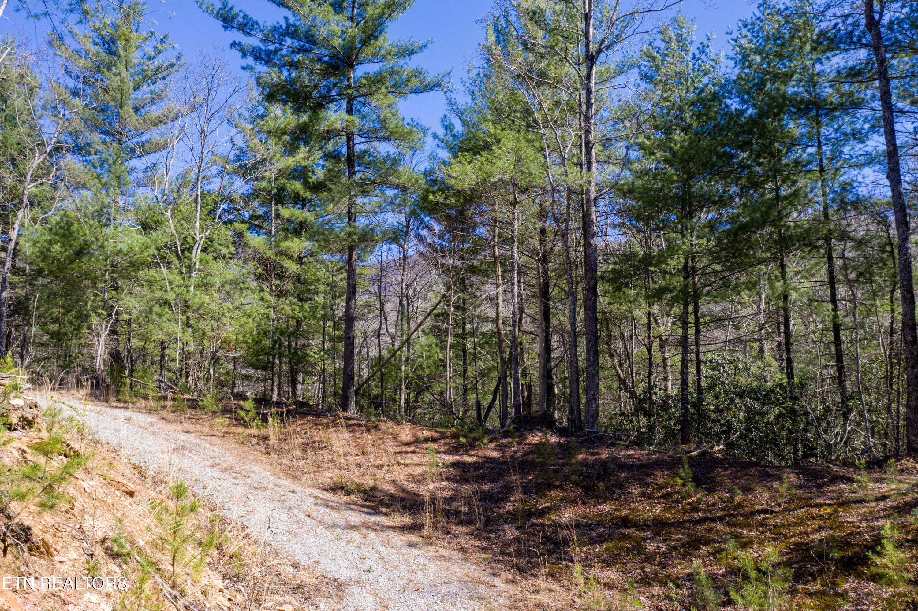 2.42 Smithfield Road Tellico Plains, TN 37385 - Photo 2 of 45 2-DJI_0113