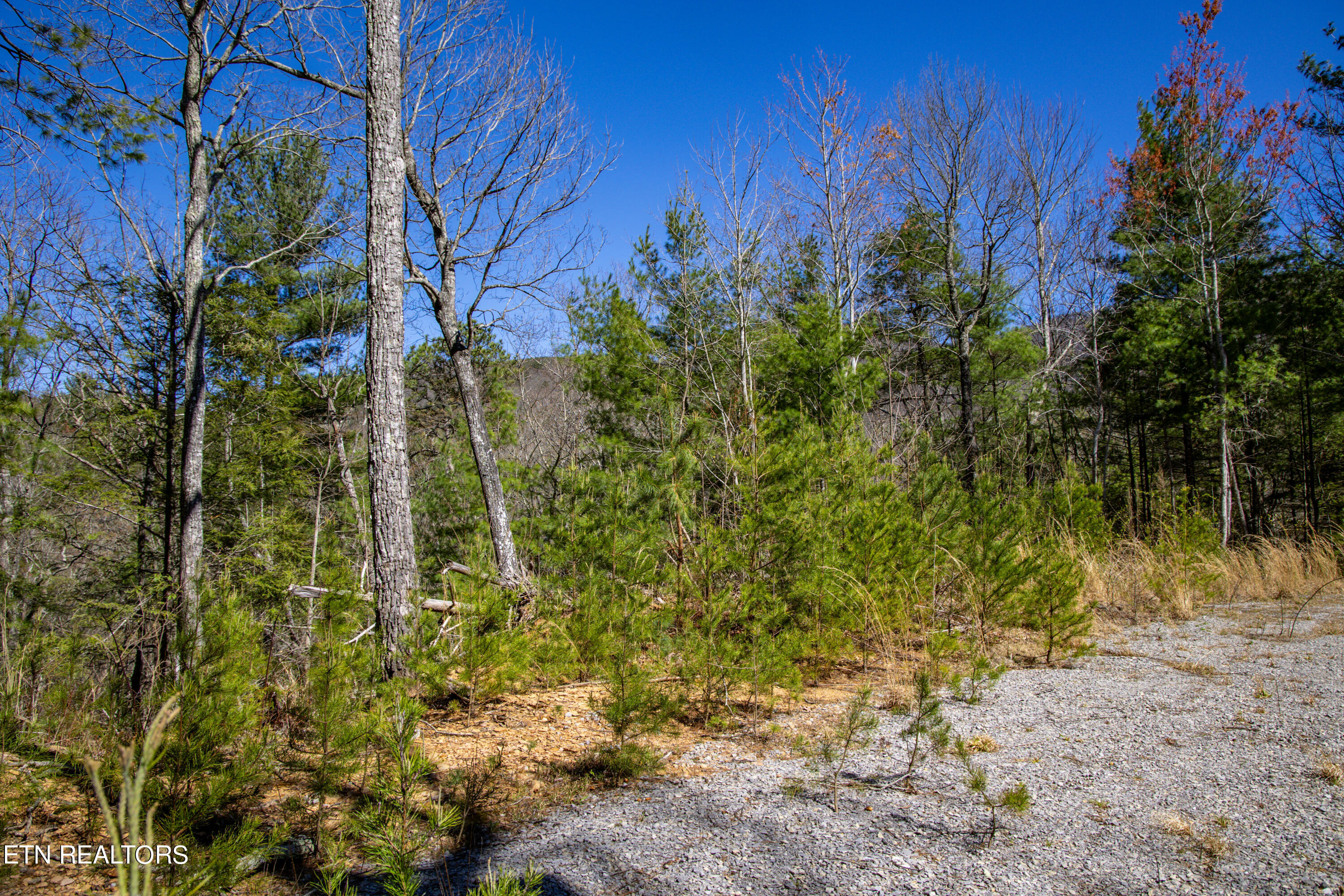 2.42 Smithfield Road Tellico Plains, TN 37385 - Photo 22 of 45 21-0B7A4909