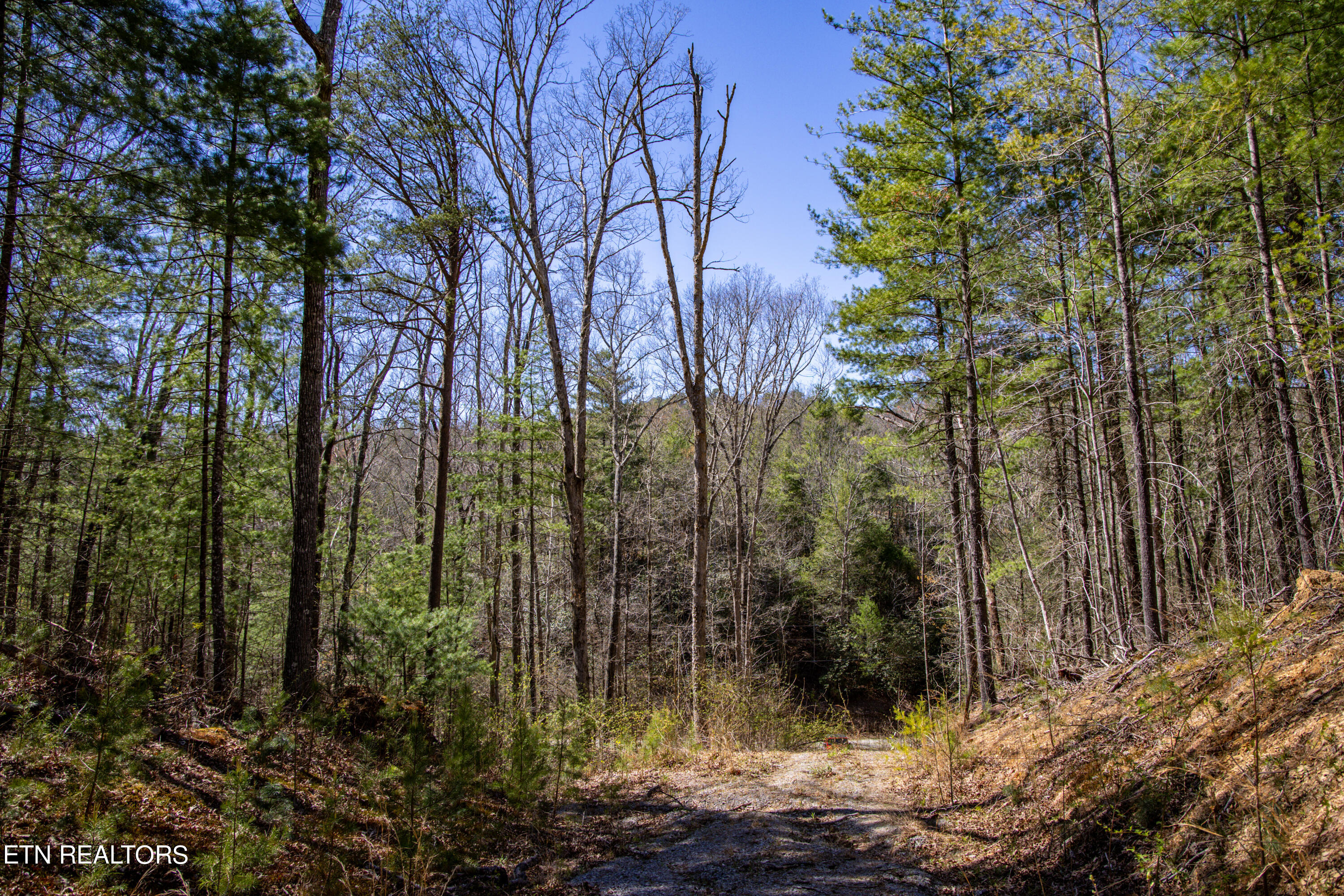 2.42 Smithfield Road Tellico Plains, TN 37385 - Photo 26 of 45 27-0B7A4917