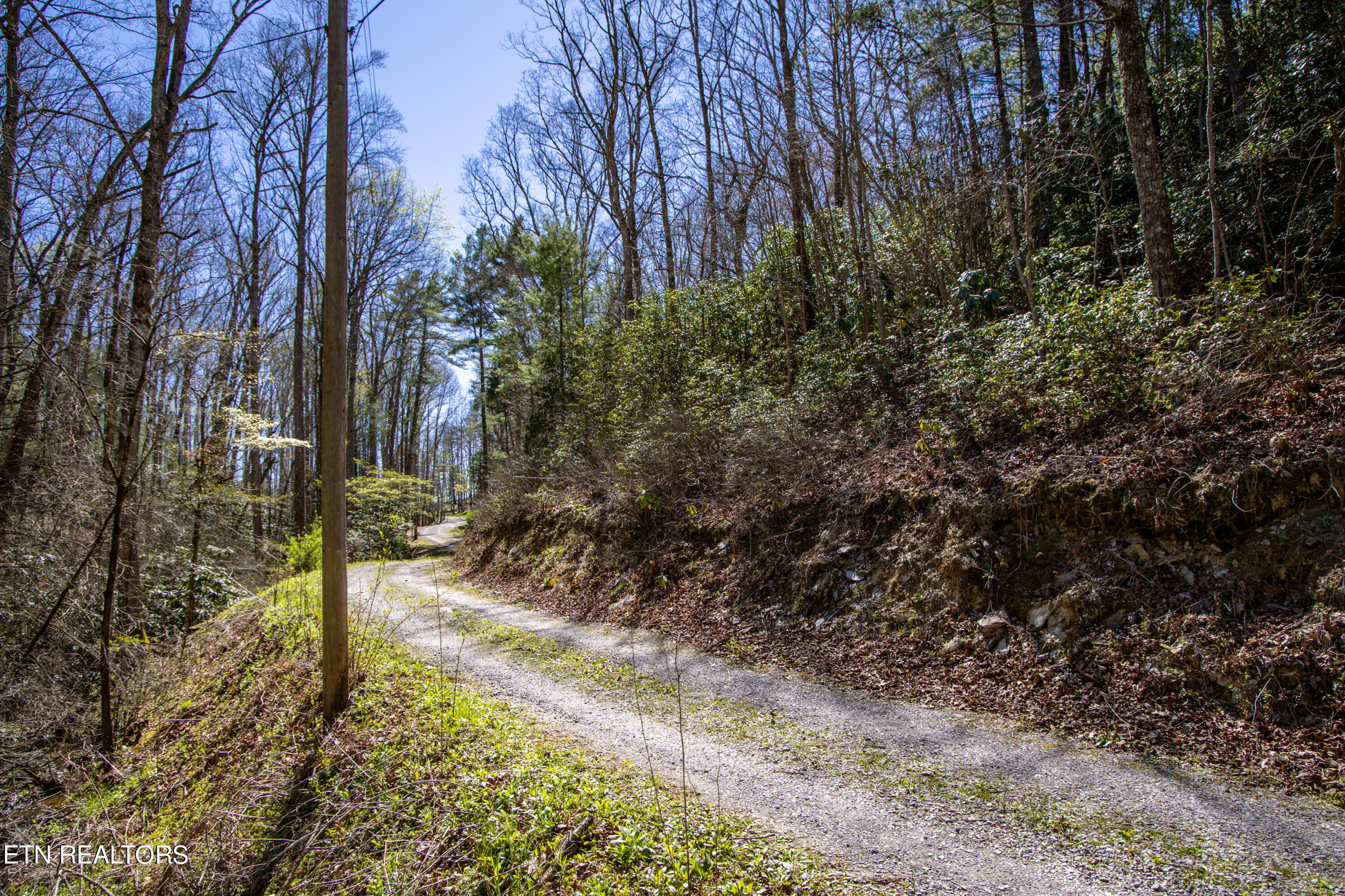 2.42 Smithfield Road Tellico Plains, TN 37385 - Photo 27 of 45 28-0B7A4918
