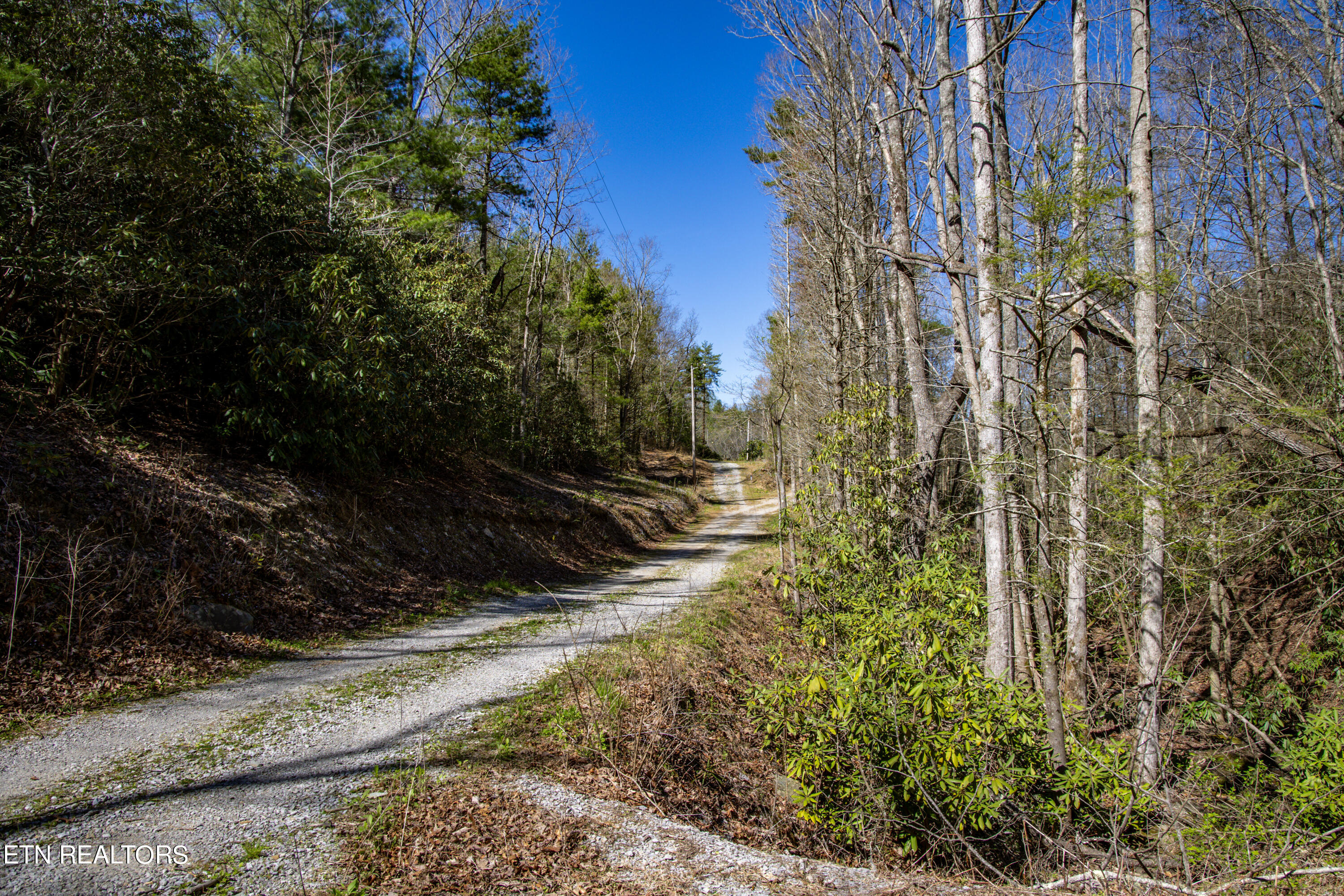 2.42 Smithfield Road Tellico Plains, TN 37385 - Photo 28 of 45 29-0B7A4919