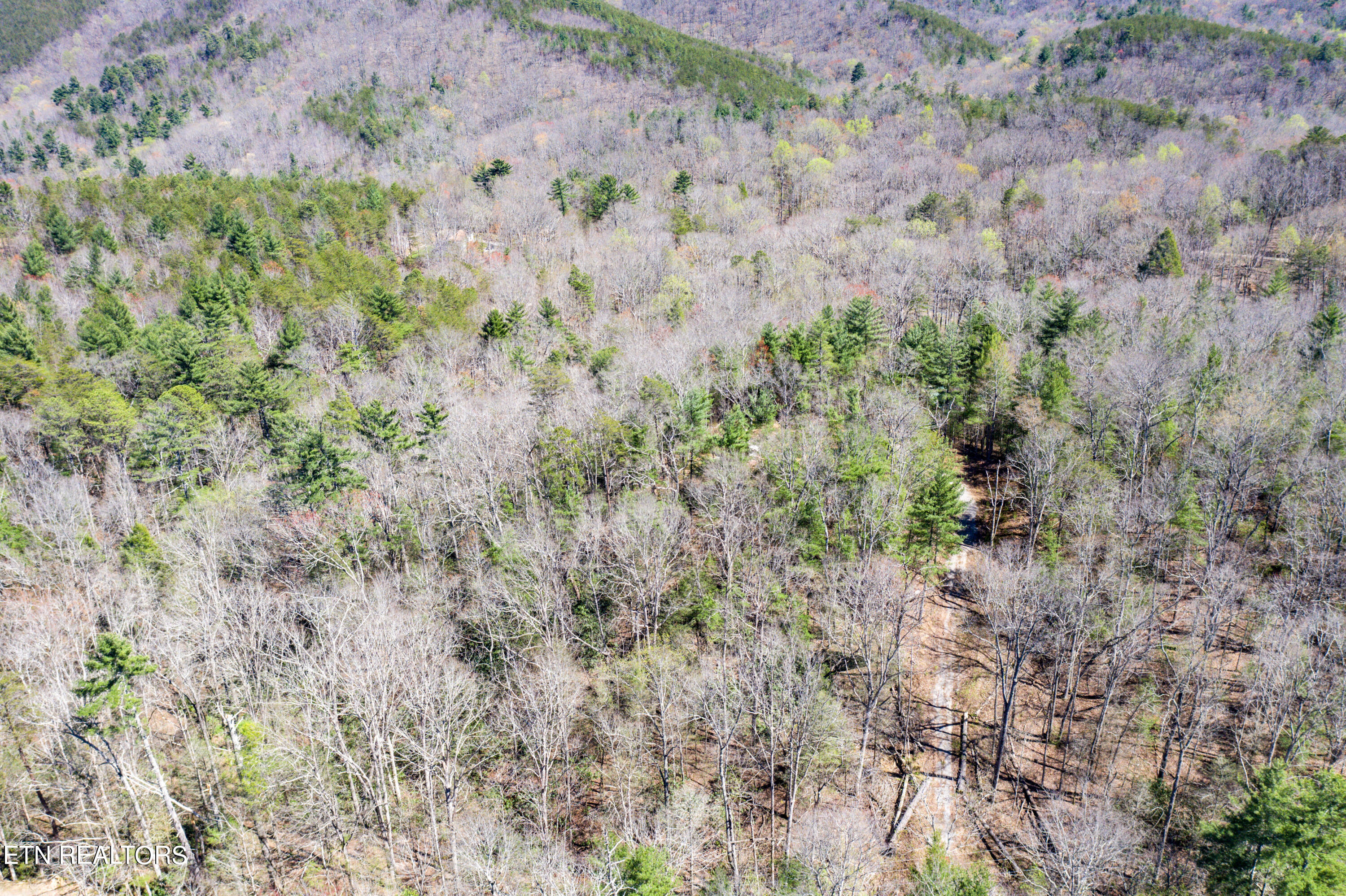 2.42 Smithfield Road Tellico Plains, TN 37385 - Photo 30 of 45 32-DJI_0099