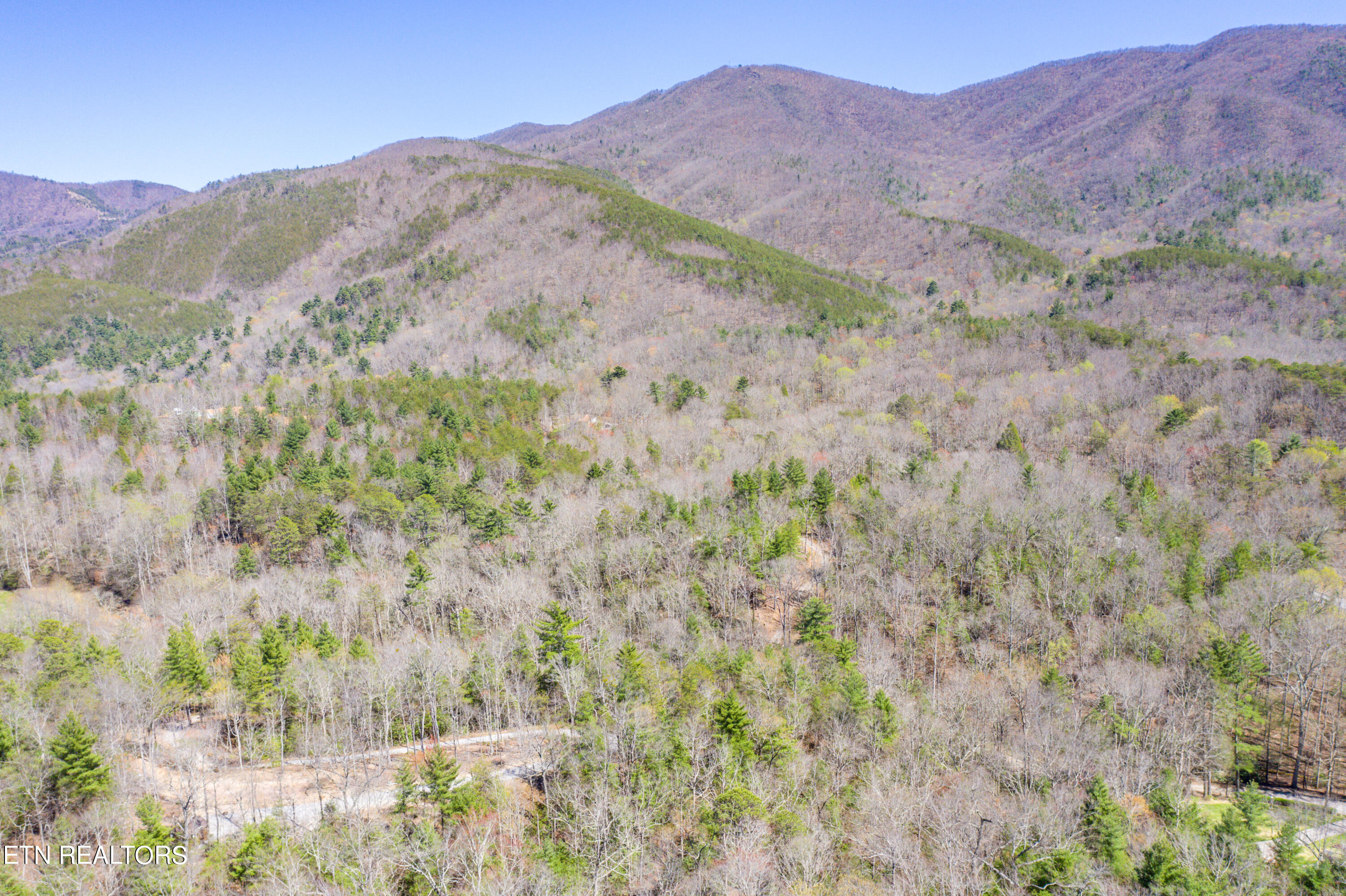 2.42 Smithfield Road Tellico Plains, TN 37385 - Photo 31 of 45 33-DJI_0102