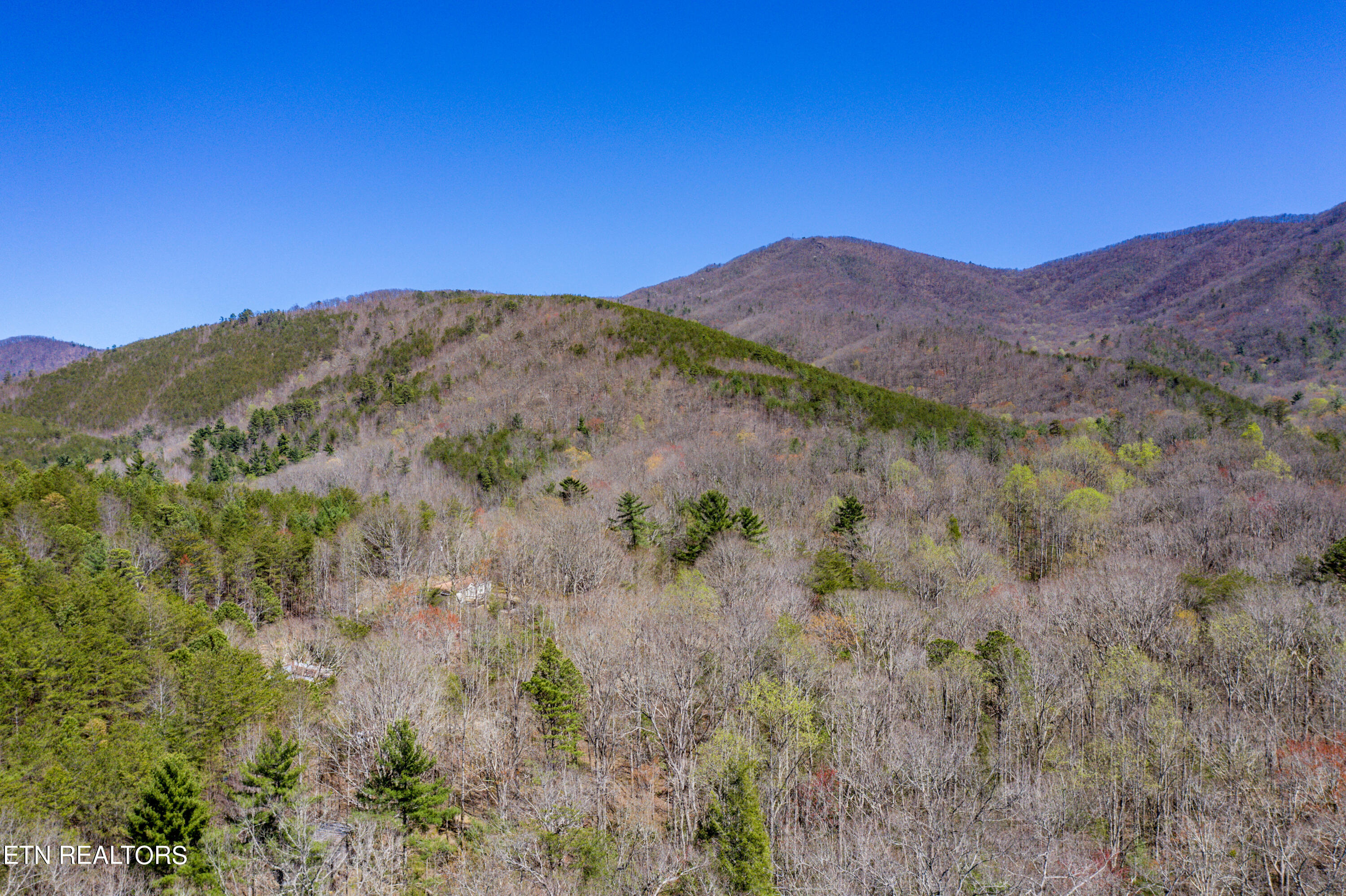 2.42 Smithfield Road Tellico Plains, TN 37385 - Photo 33 of 45 35-DJI_0108