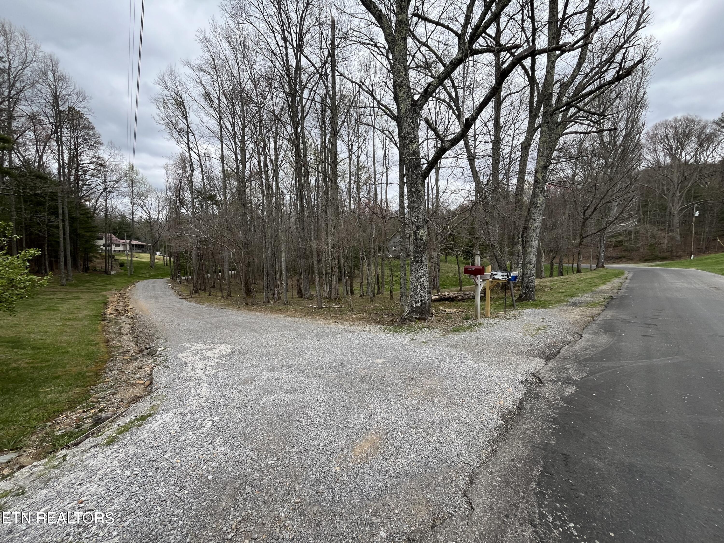 2.42 Smithfield Road Tellico Plains, TN 37385 - Photo 36 of 45 IMG_7858