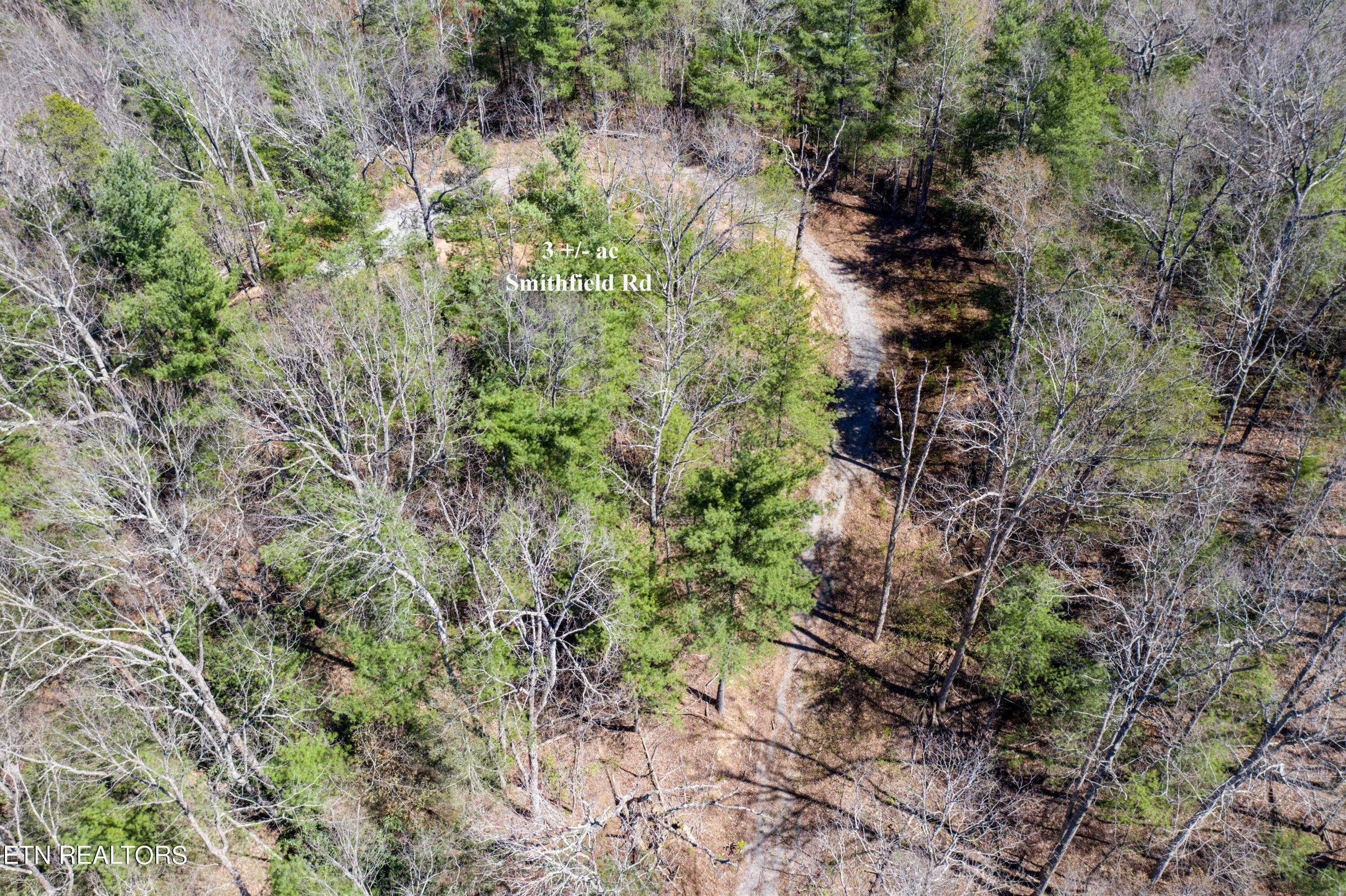 2.42 Smithfield Road Tellico Plains, TN 37385 - Photo 9 of 45 7-DJI_0098-Edit
