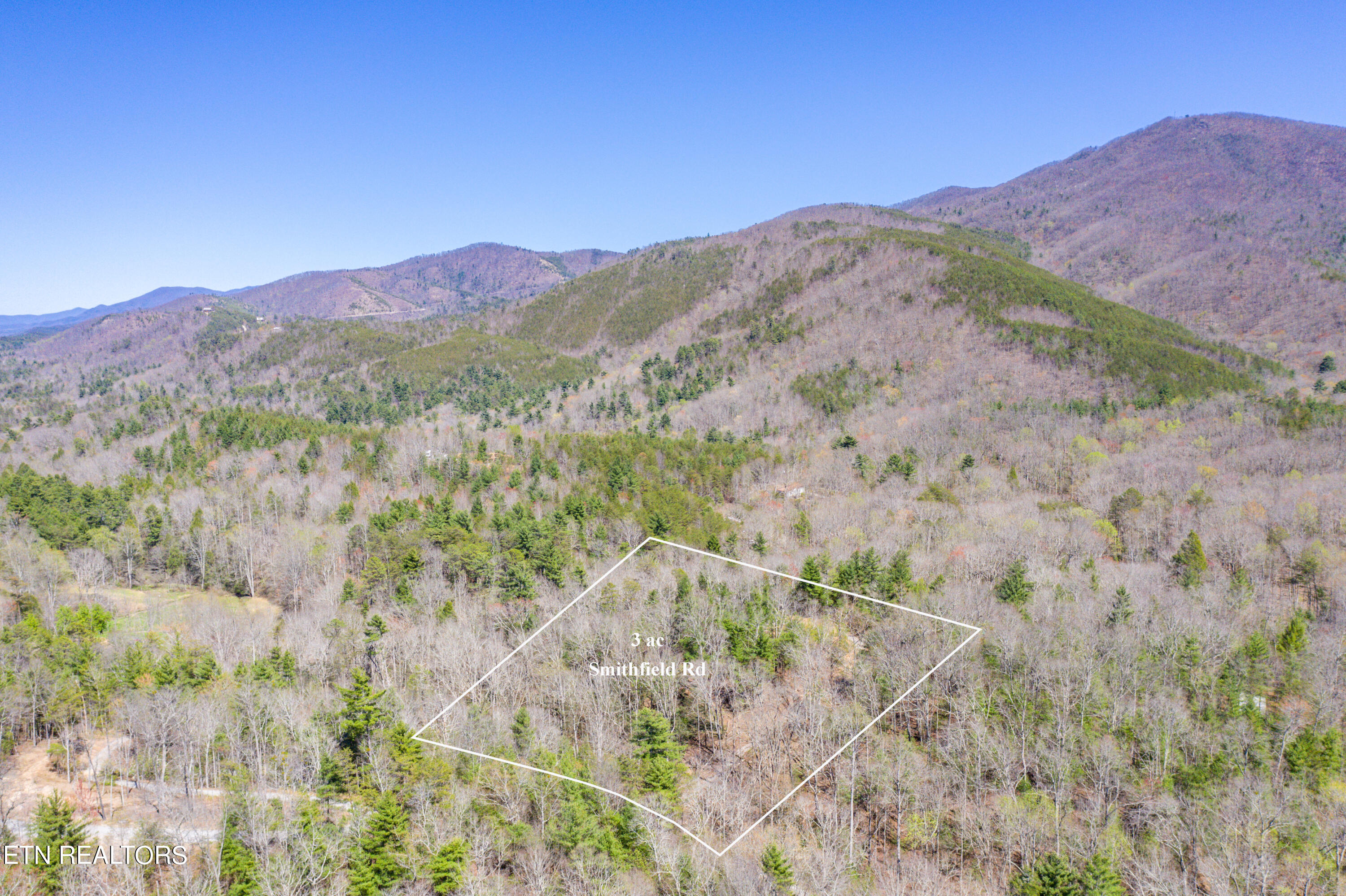 2.42 Smithfield Road Tellico Plains, TN 37385 - Photo 10 of 45 5-DJI_0101-Edit