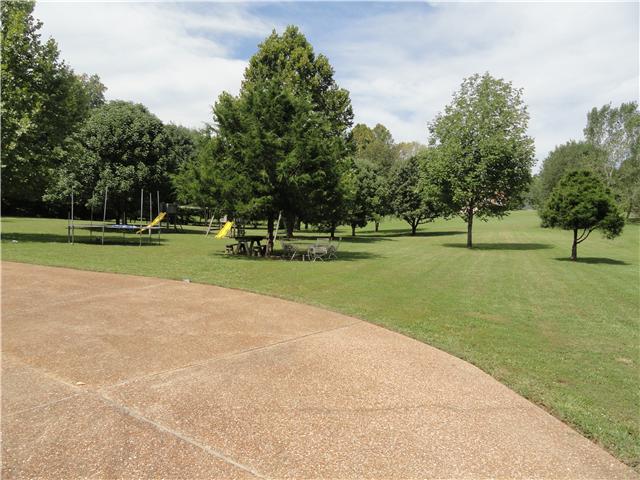 726 Vaughan Road Clarksville, TN 37043 - Photo 3 of 20 Huge, level backyard with lots of trees and open space. Much privacy here in back and on both sides of home.
