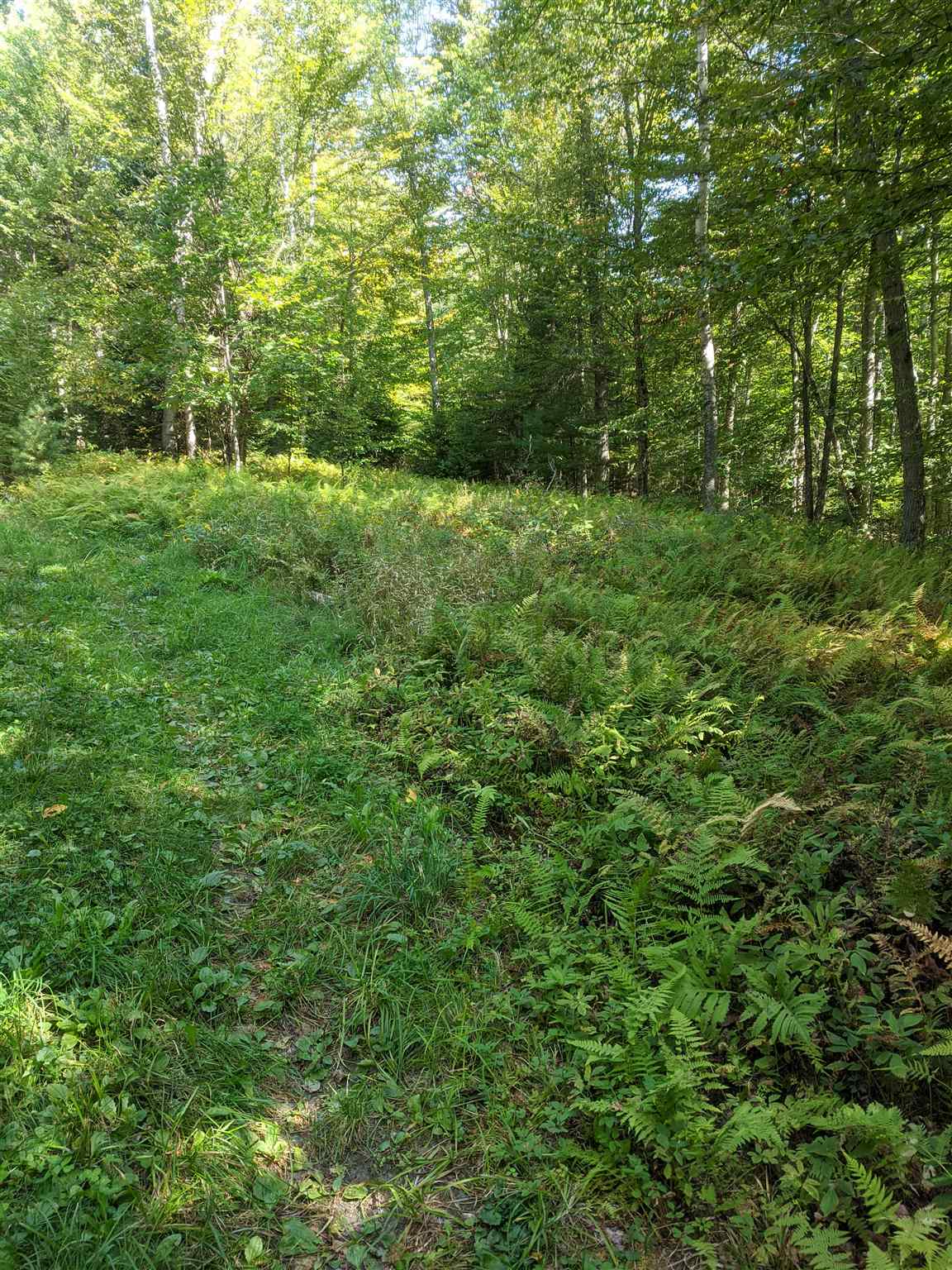0 Old County Road Waterford, VT 05819 - Photo 10 of 10