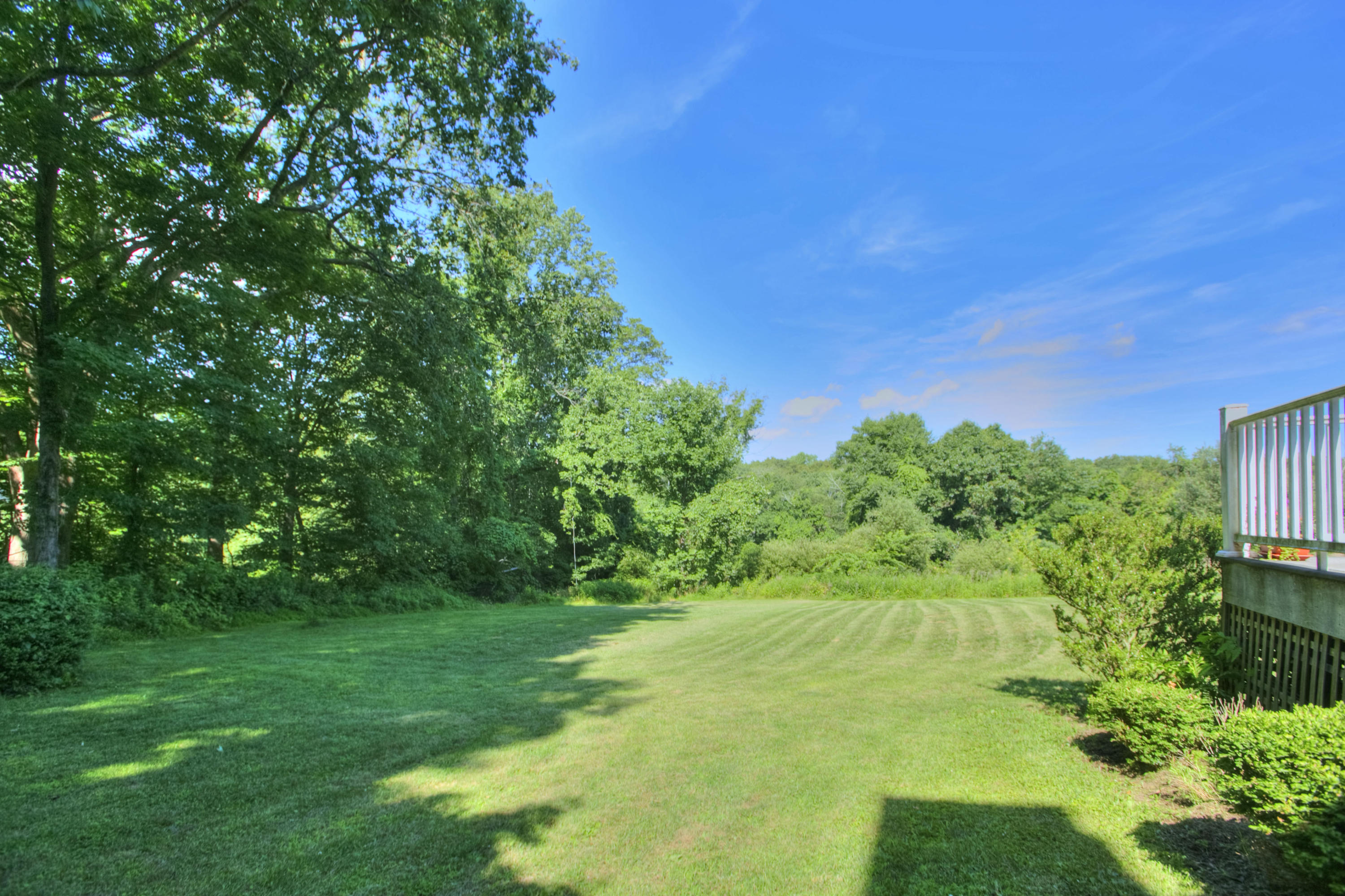 1335 Smith Ridge Road New Canaan, CT 06840 - Photo 41 of 42 a view of yard with green space