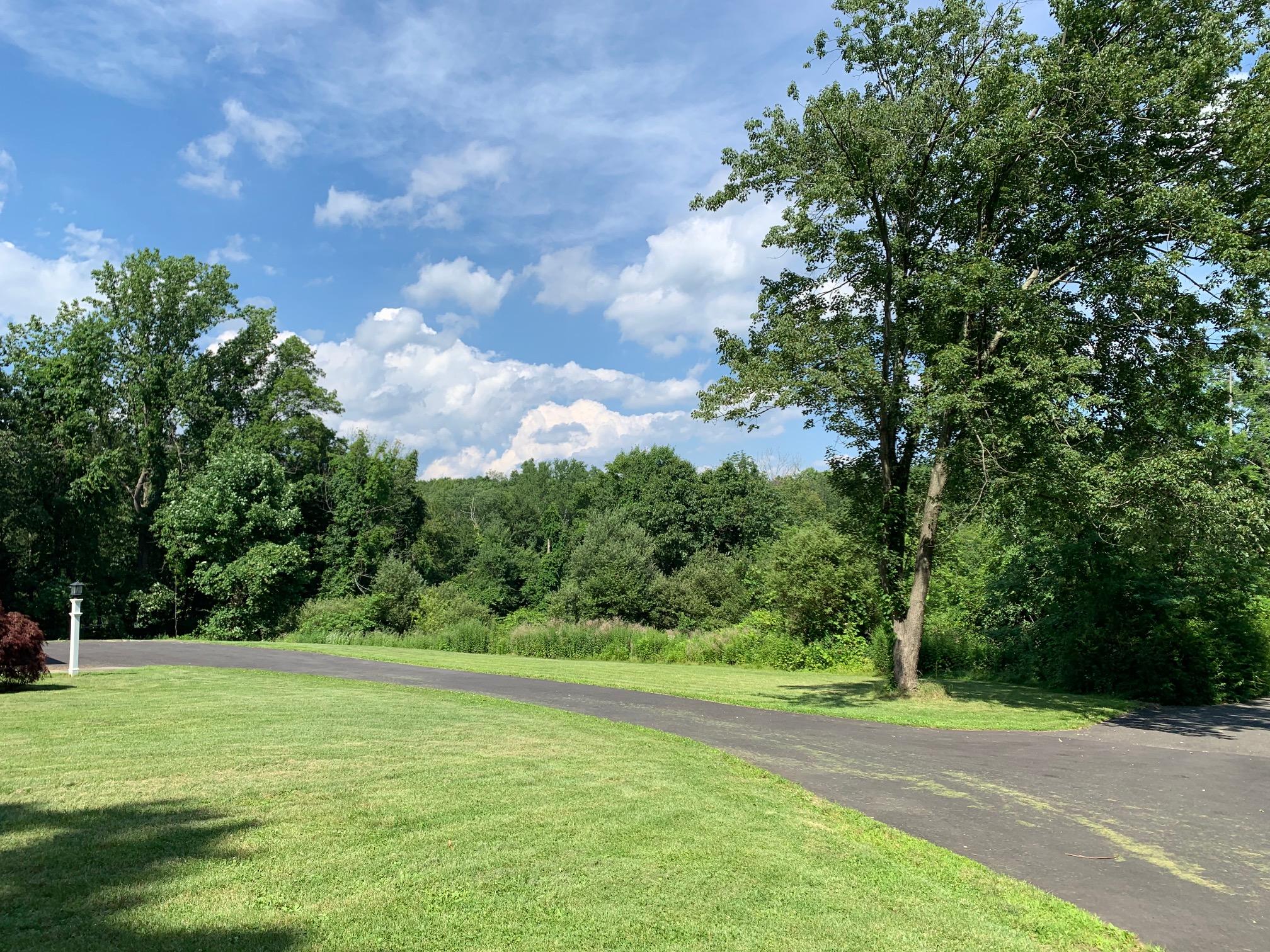 1335 Smith Ridge Road New Canaan, CT 06840 - Photo 42 of 42 a view of a field with trees in the background
