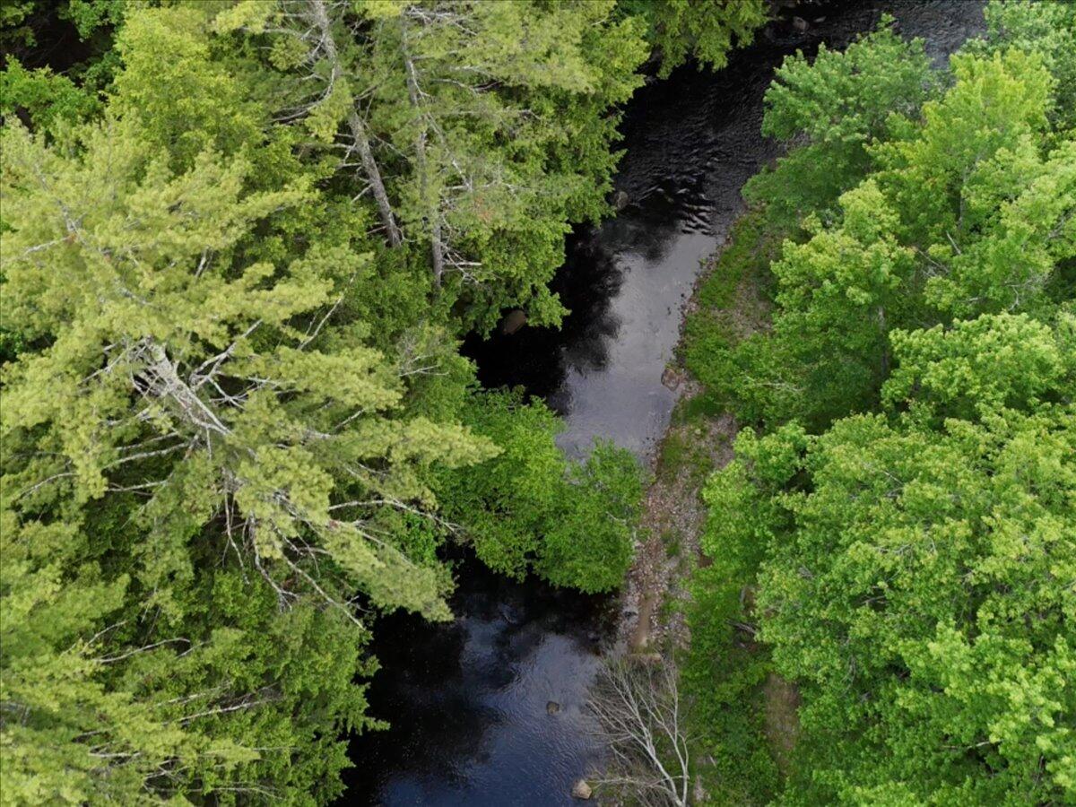 3 Long Swamp Road Berwick, ME 03901 - Photo 6 of 51 4-3_Long_Swamp_Rd_50
