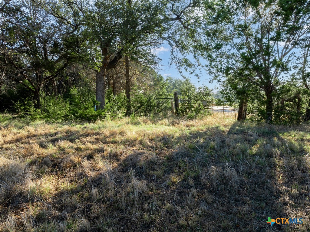 853 County Road 4390 Kempner, TX 76539 - Photo 15 of 43 a view of a lake with lots of trees