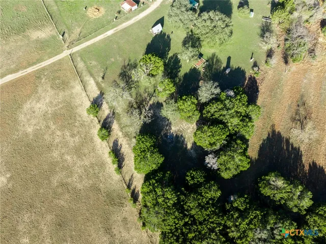a view of a garden with plants