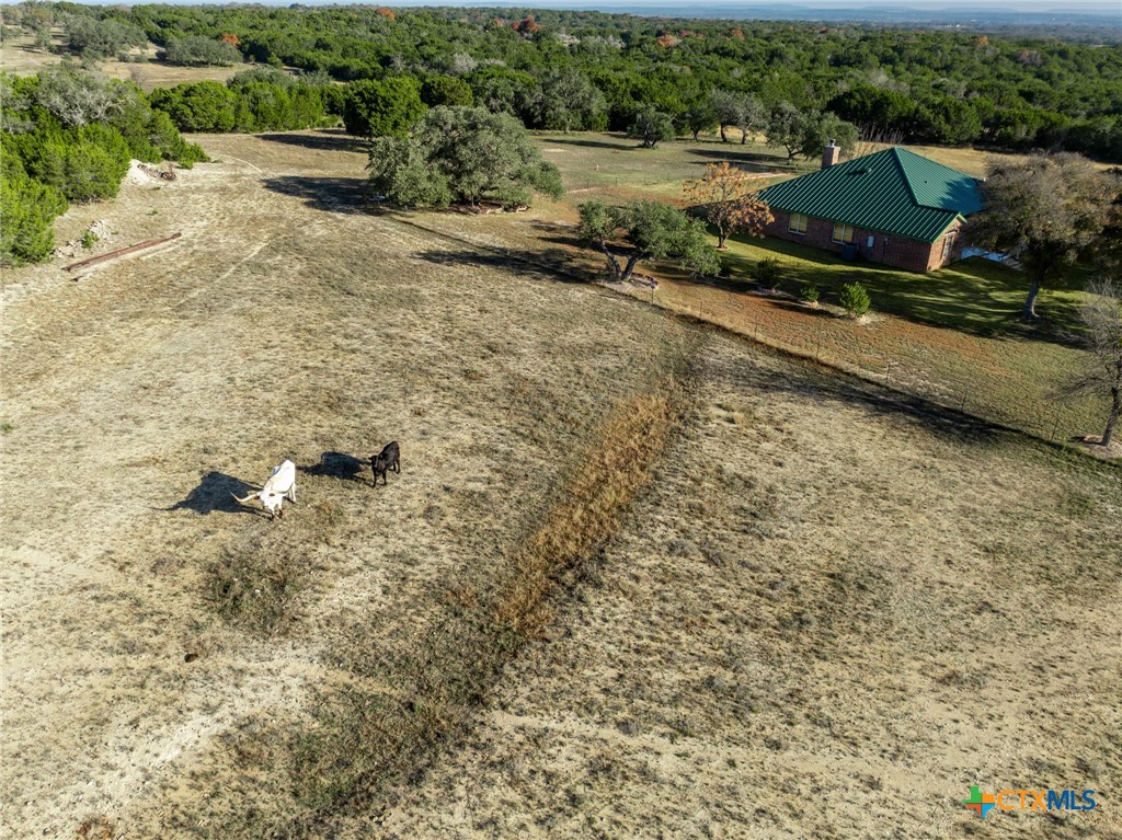 853 County Road 4390 Kempner, TX 76539 - Photo 21 of 43 a view of a dry yard with wooden fence