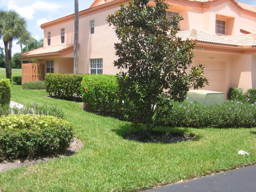 a view of backyard with potted plants and large tree