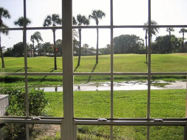 a view of yard from a window