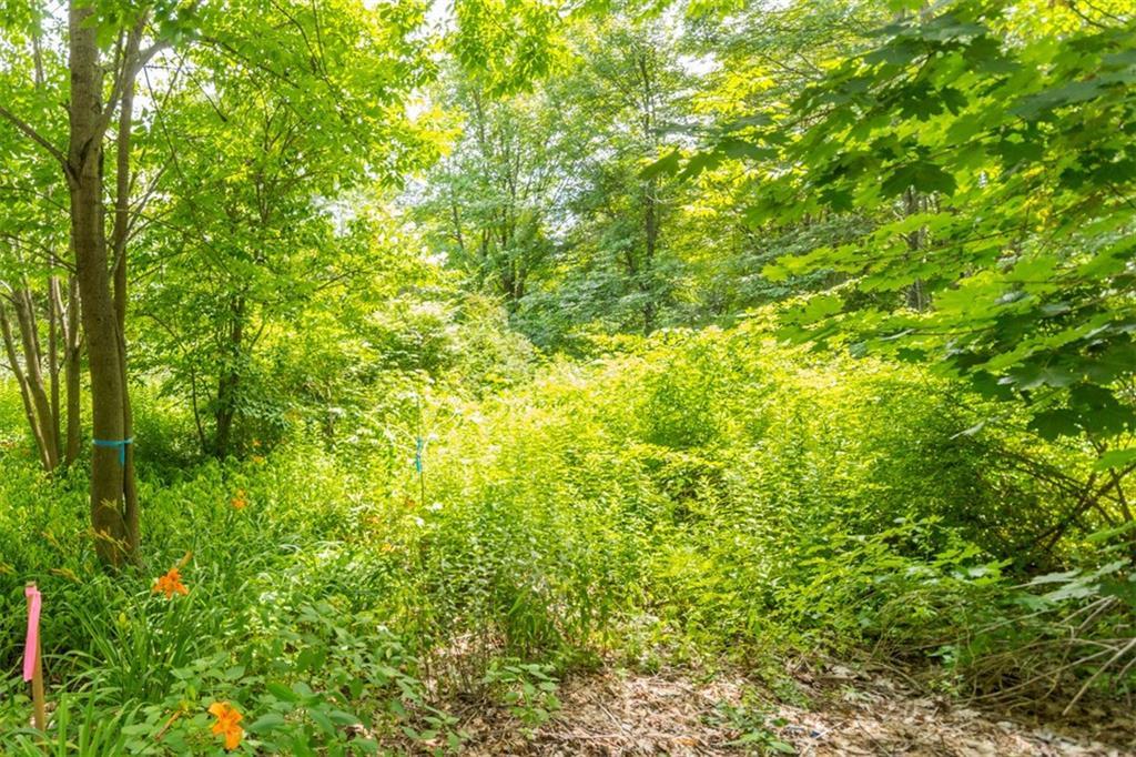 205 Middle Road Falmouth, ME 04105 - Photo 5 of 9 Photo