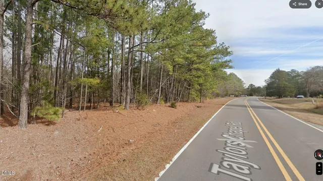 a view of a yard with plants