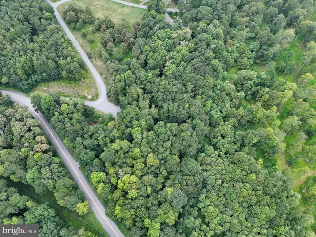 a view of a dirt pathway both side of green trees