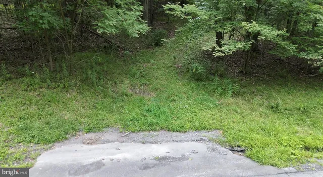 a backyard of a house with lots of green space and trees all around