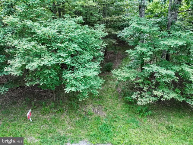 an aerial view of forest