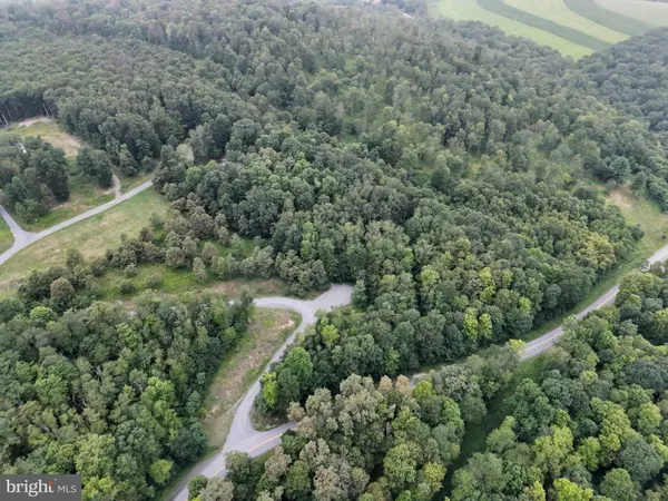 a view of fountain along with trees