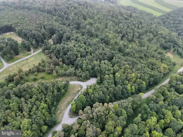 a view of fountain along with trees