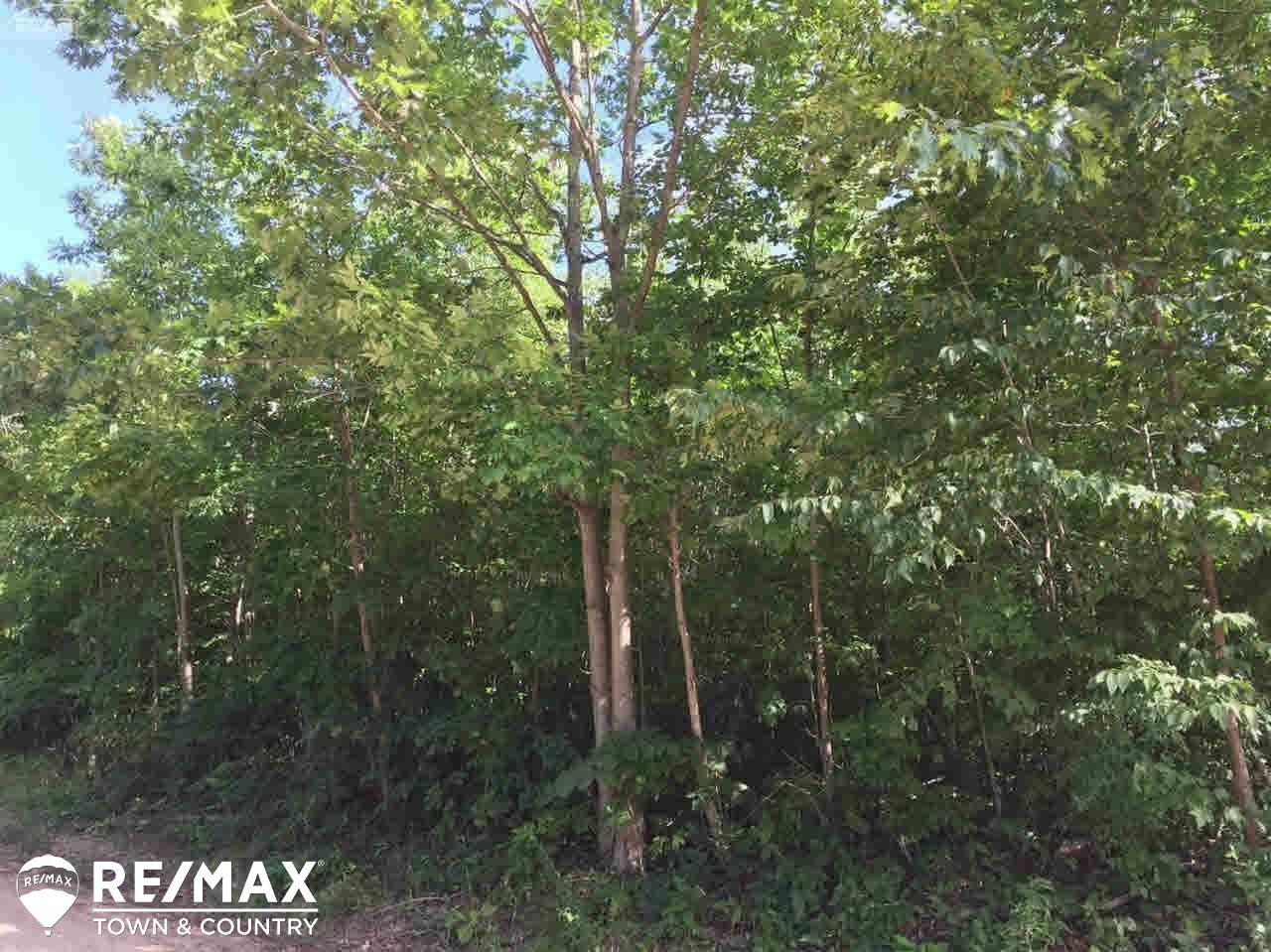 0 Stockwell Road Harrison, MI 48625 - Photo 7 of 8