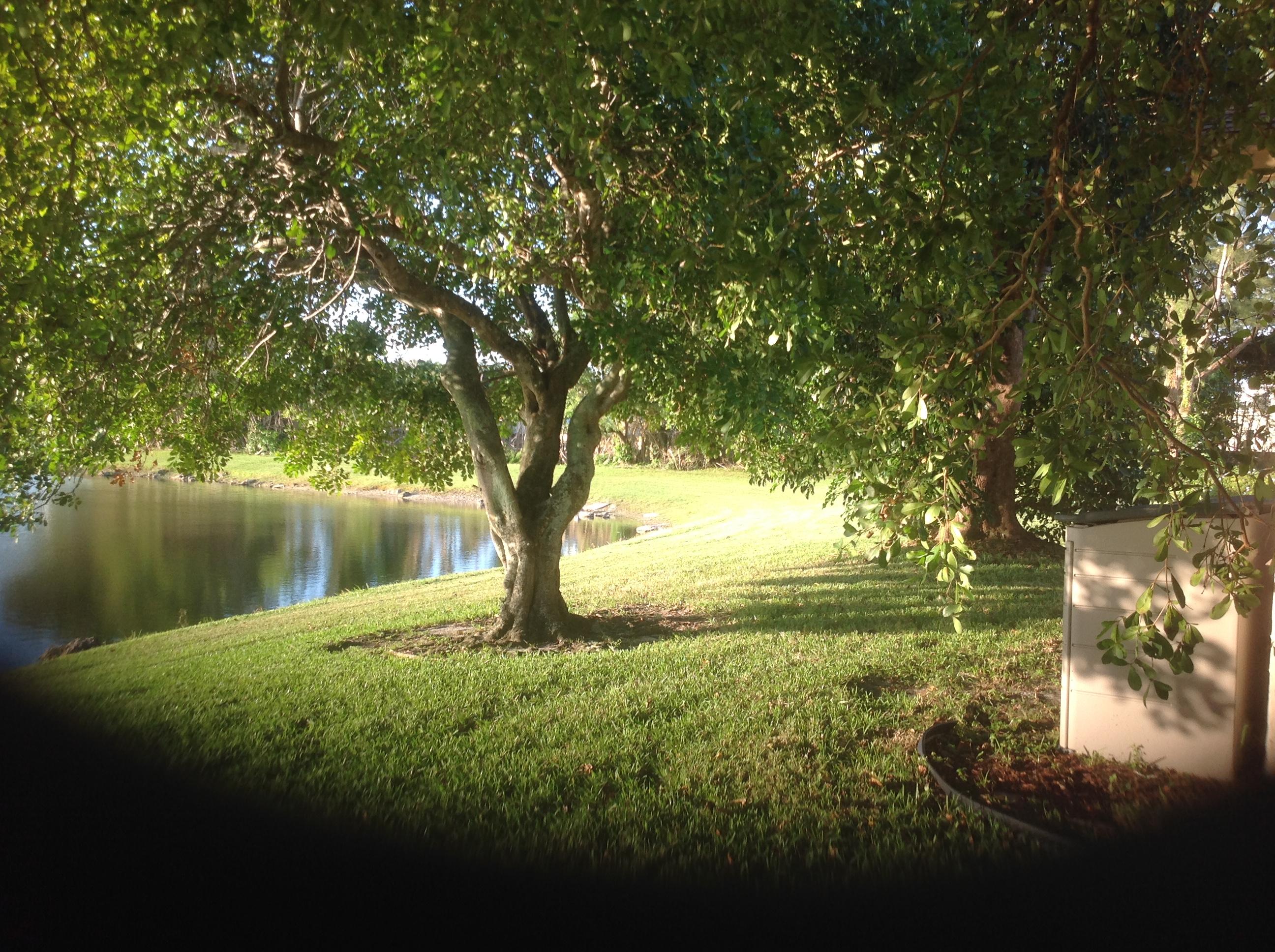 20875 Springs Terrace Boca Raton, FL 33428 - Photo 13 of 26 Lake View