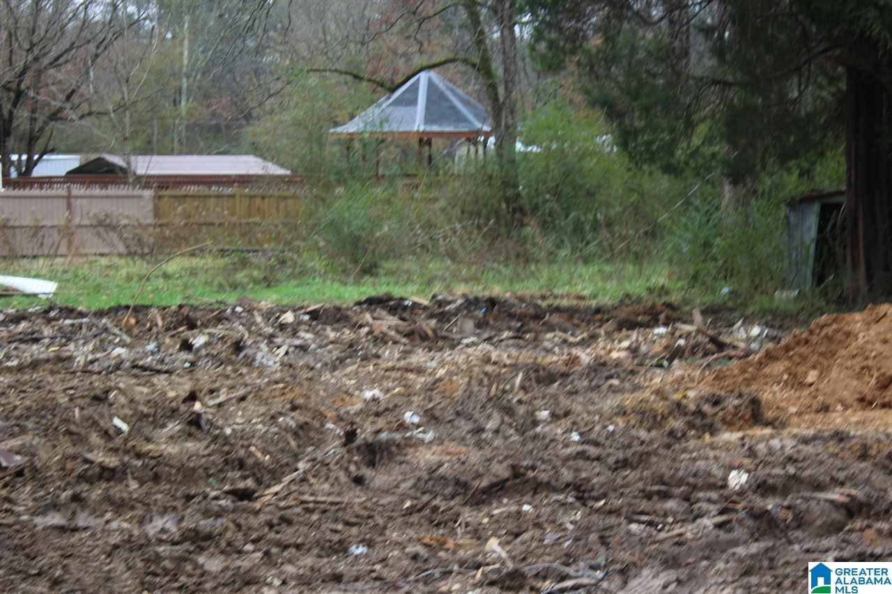 2032 Morgan Road, Unit 1 Bessemer, AL 35022 - Photo 2 of 3