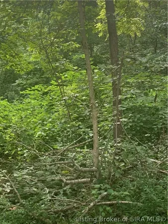 $7,500 | Olive Street, French Lick, IN 47432