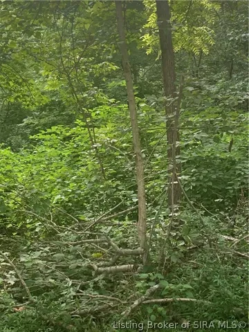 $7,500 | Olive Street, French Lick, IN 47432