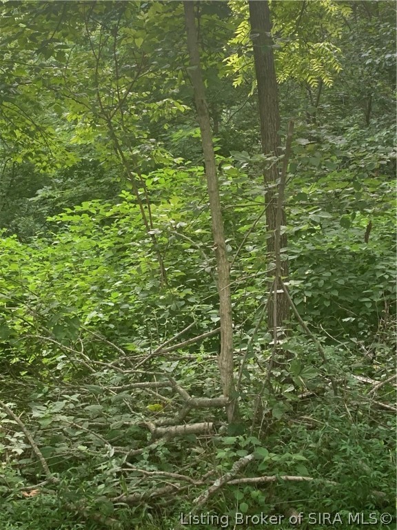 Olive Street French Lick, IN 47432 - Photo 2 of 8