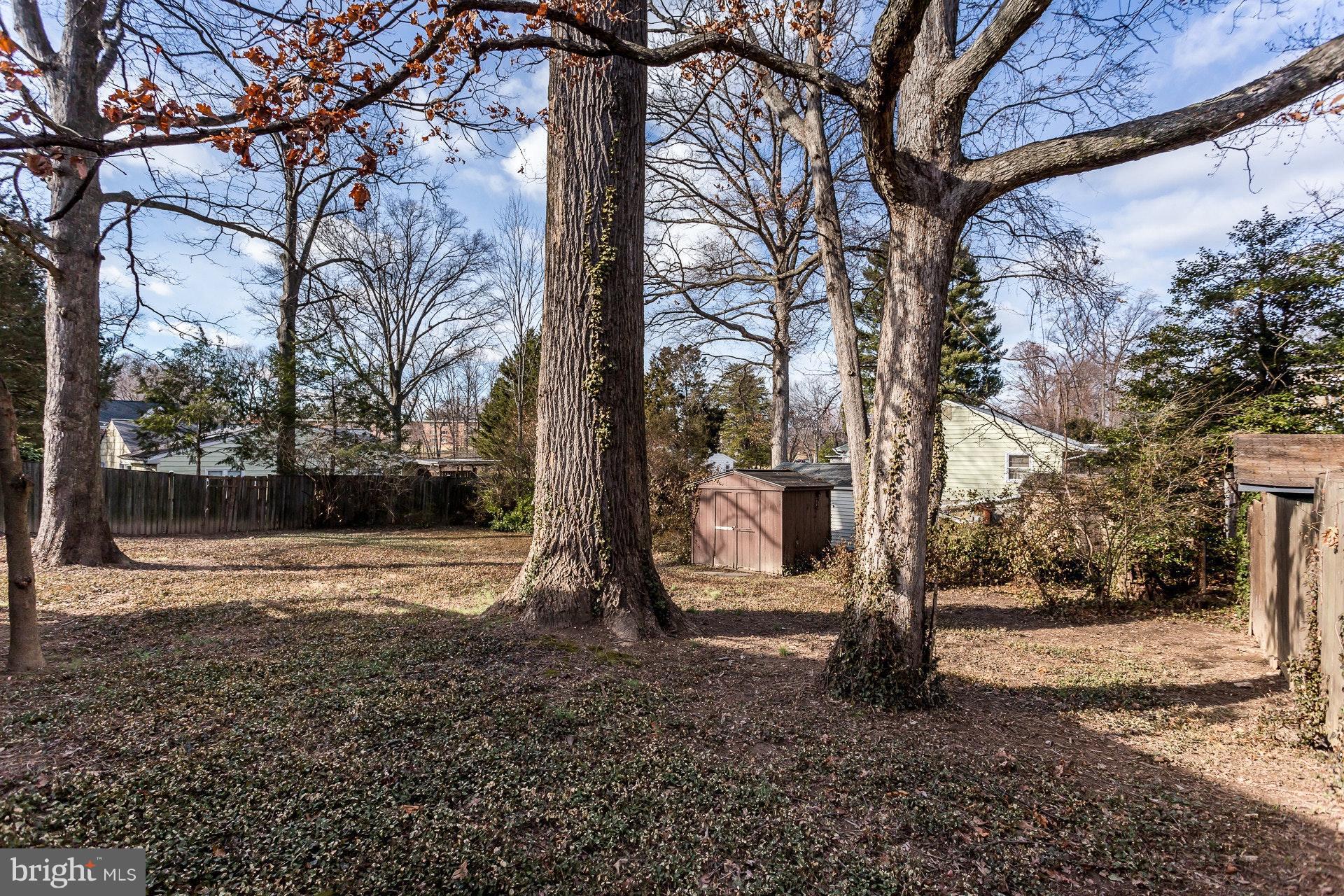7204 Alger Road Falls Church, VA 22042 - Photo 29 of 30 View to back of lot